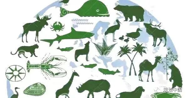 从生物多样性标准看中国申遗潜力区知多少