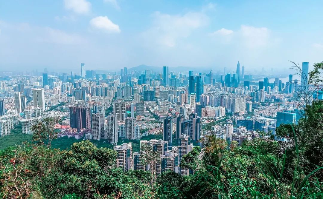 深圳土整新政背后的利益逻辑
