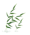 明清民居“活化石”荷花塘即将更新 明清民居“活化石”荷花塘即将更新