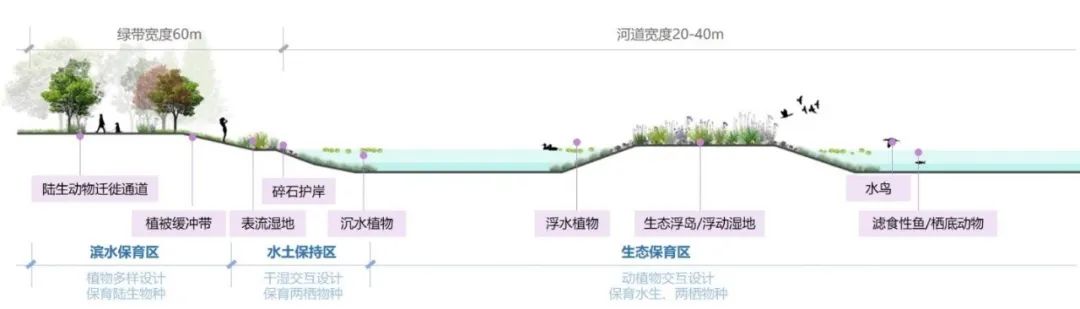 碳中和目标下高密度城区碧水之道