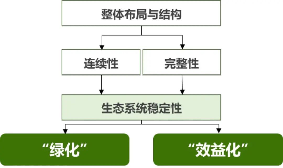 绿化彩化珍贵化效益化:上海推动科学绿化的顶层逻辑 绿化彩化珍贵化效益化:上海推动科学绿化的顶层逻辑