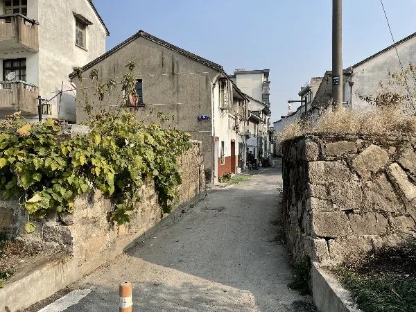 《杭州大运河国家文化公园规划》系列报道之六：浙东运河首邑 千年再奏华章︱萧山篇