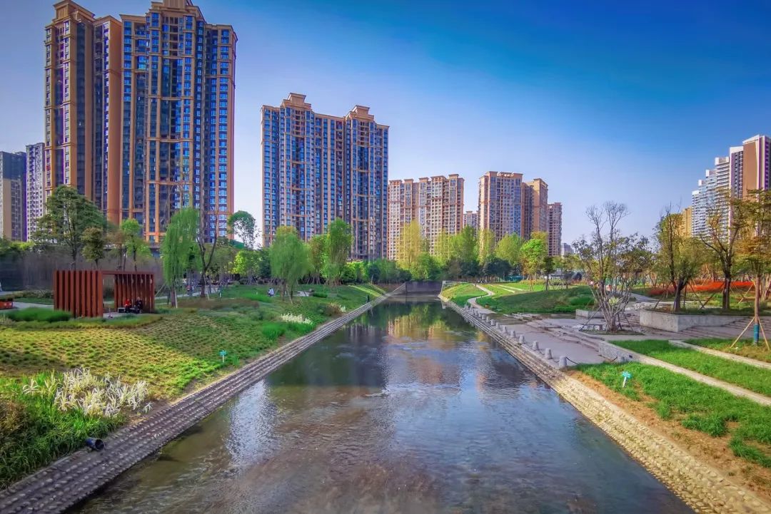袁媛：面向突发公共卫生事件的健康社区治理
