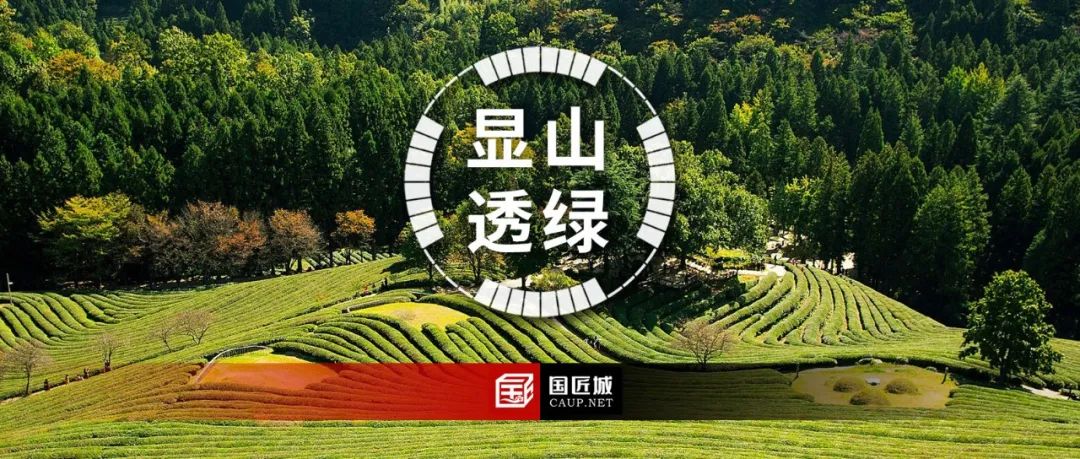 《无锡市显山透绿专项规划》编制完成