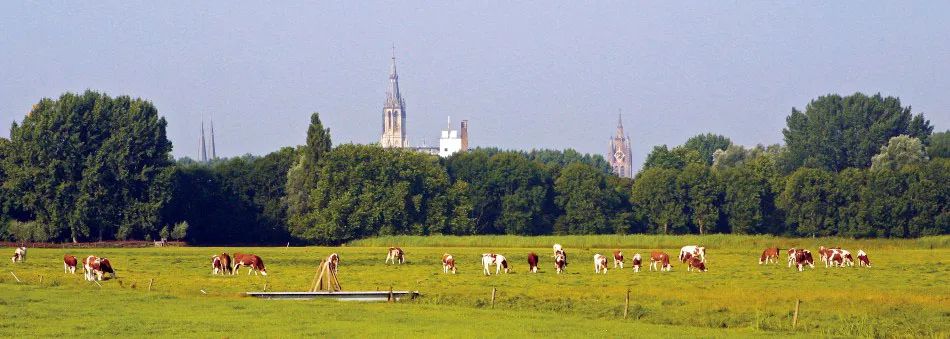 与其在家囤菜，不如自己种地——国外都市农业的历史、现状与发展