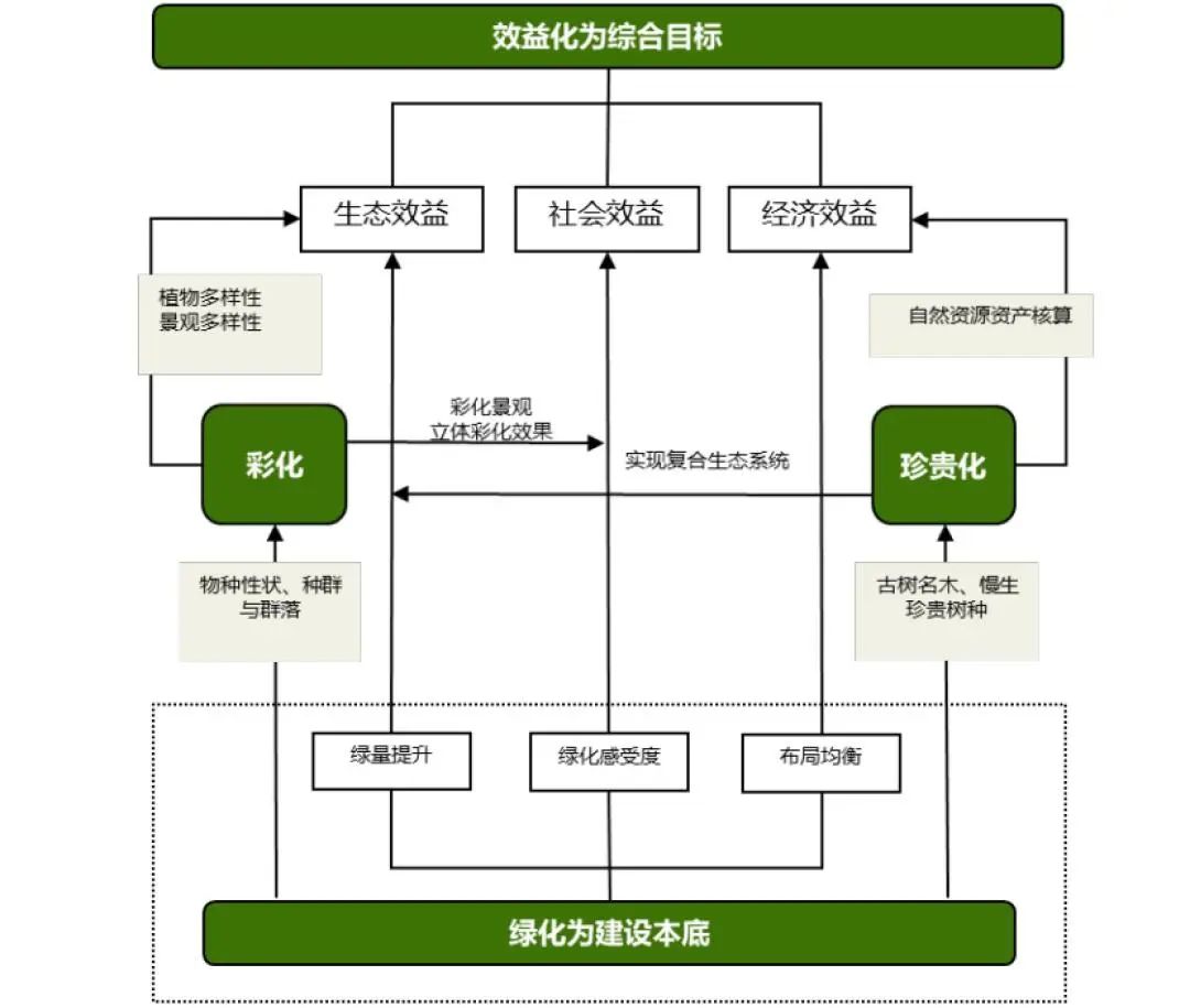 绿化彩化珍贵化效益化:上海推动科学绿化的顶层逻辑 绿化彩化珍贵化效益化:上海推动科学绿化的顶层逻辑