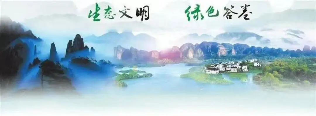 绿化彩化珍贵化效益化:上海推动科学绿化的顶层逻辑 绿化彩化珍贵化效益化:上海推动科学绿化的顶层逻辑