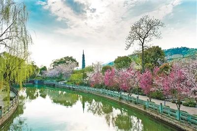 《杭州大运河国家文化公园规划》系列报道之五：皇城宋韵探风雅 千年运河汇古今︱上城篇