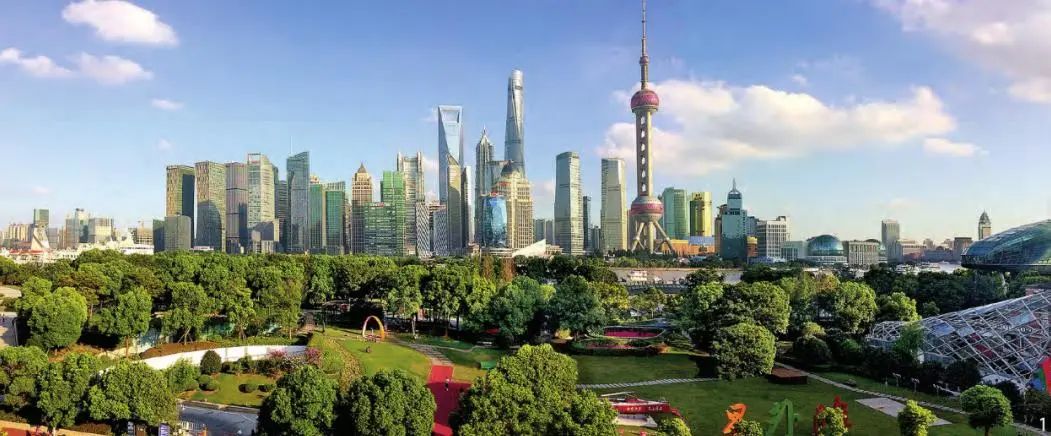绿化彩化珍贵化效益化:上海推动科学绿化的顶层逻辑 绿化彩化珍贵化效益化:上海推动科学绿化的顶层逻辑
