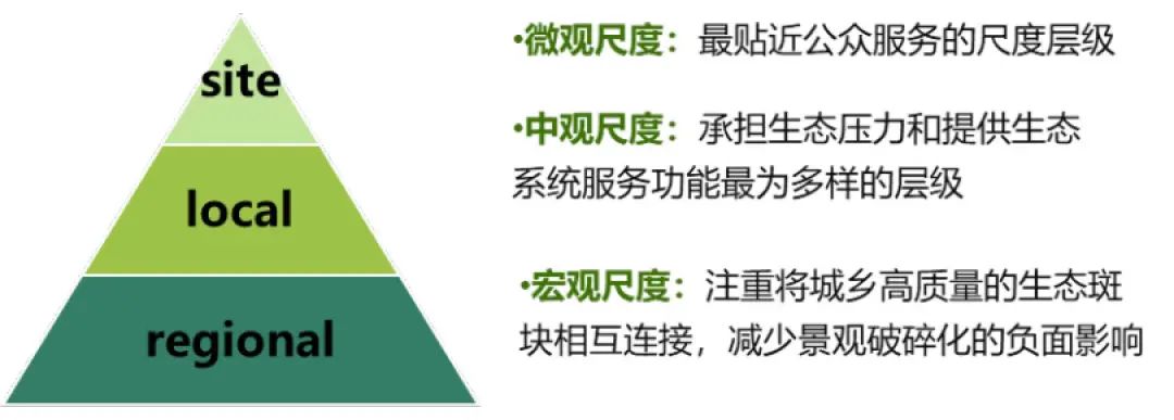绿化彩化珍贵化效益化:上海推动科学绿化的顶层逻辑 绿化彩化珍贵化效益化:上海推动科学绿化的顶层逻辑