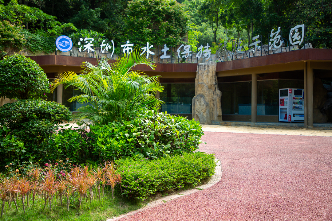 六一快乐｜ 深圳遛娃宝地大盘点
