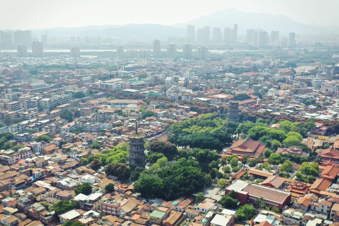 设计即战略：环泉州湾总体城市设计