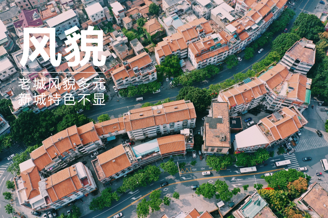 设计即战略：环泉州湾总体城市设计