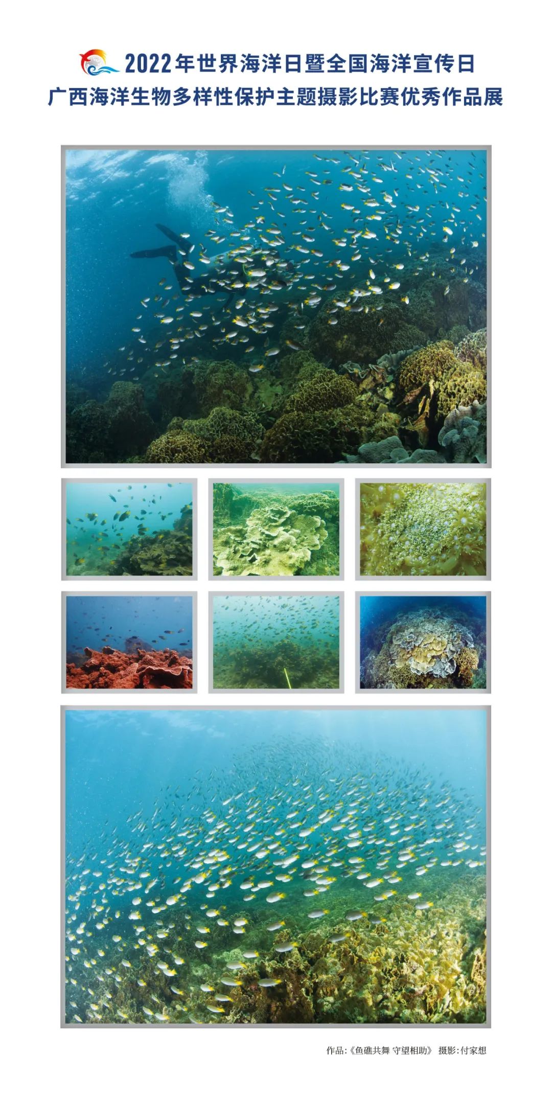 广西海洋生物多样性保护主题摄影比赛优秀作品展 | 大美中国·i自然