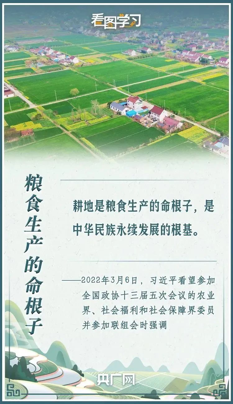 全国土地日|严守18亿亩耕地红线 总书记念兹在兹 全国土地日|严守18亿亩耕地红线 总书记念兹在兹