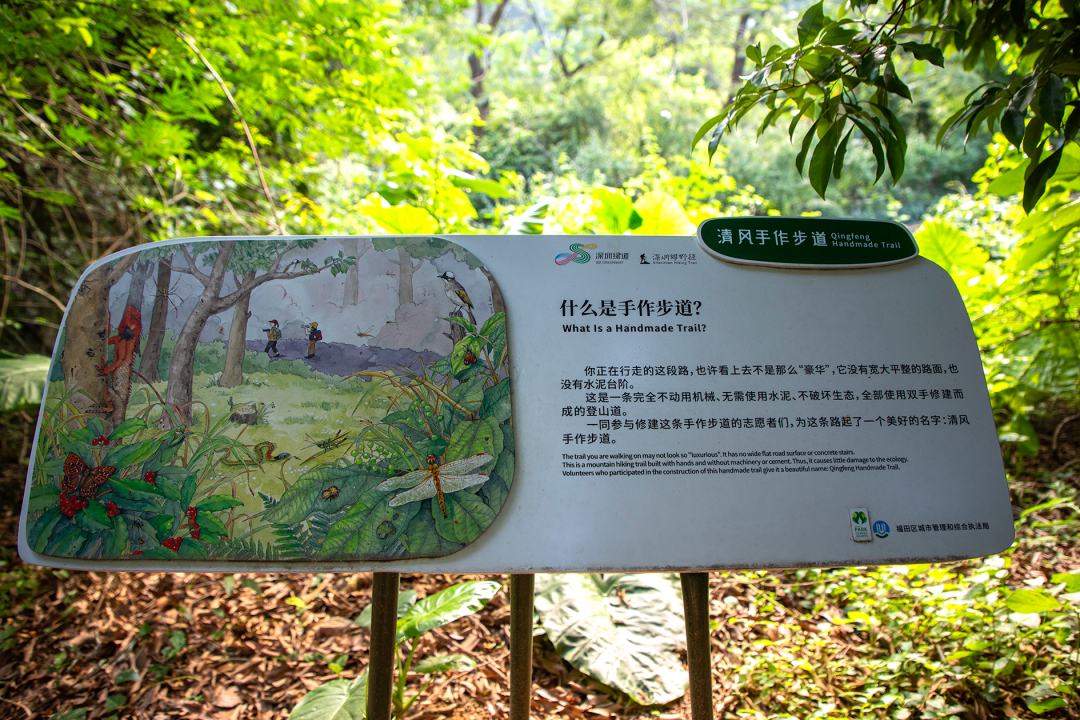 六一快乐｜ 深圳遛娃宝地大盘点