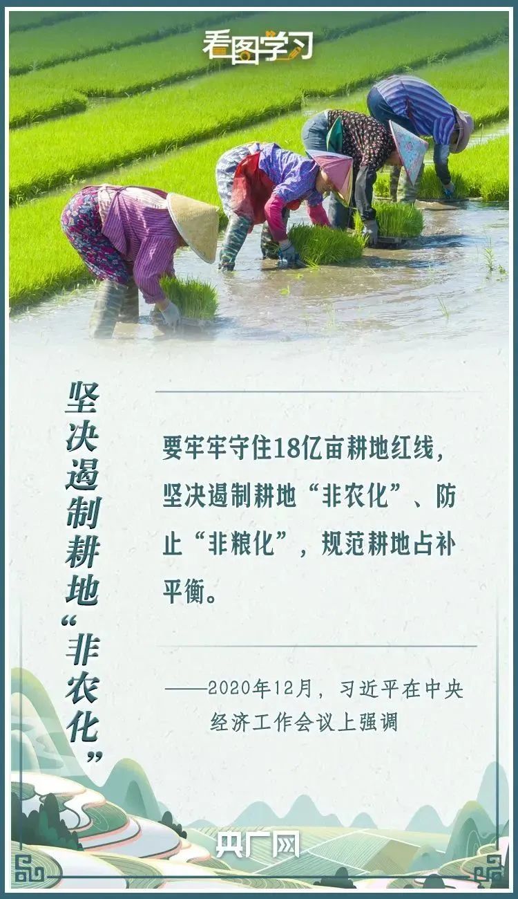 全国土地日|严守18亿亩耕地红线 总书记念兹在兹 全国土地日|严守18亿亩耕地红线 总书记念兹在兹