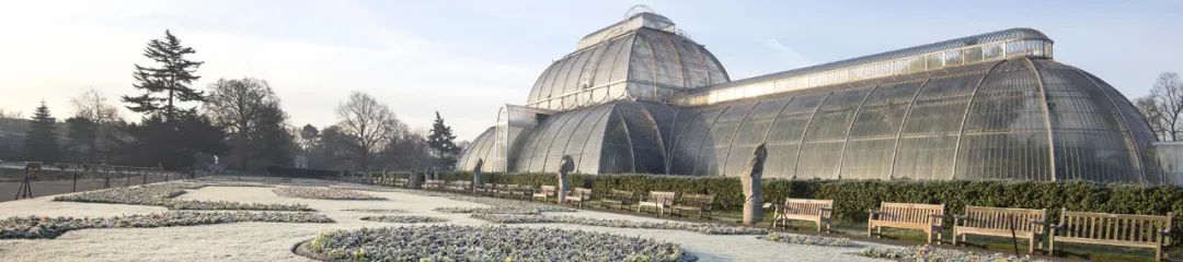 什么是植物园？