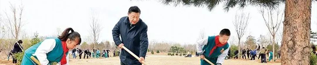全国土地日|严守18亿亩耕地红线 总书记念兹在兹 全国土地日|严守18亿亩耕地红线 总书记念兹在兹