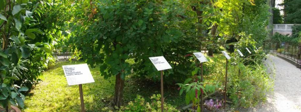 什么是植物园？