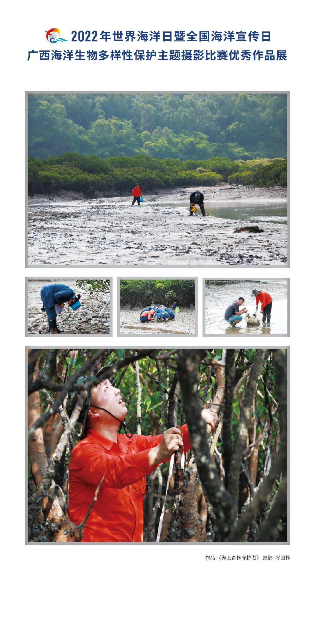 广西海洋生物多样性保护主题摄影比赛优秀作品展 | 大美中国·i自然