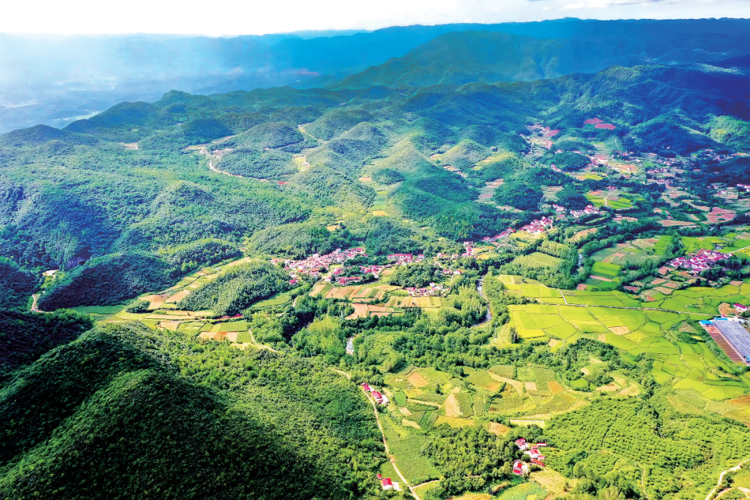 偏远山村→化石村、旅游村、致富村