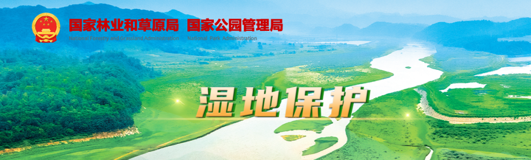 湿地保护法今日施行 开启我国湿地保护新篇章 湿地保护法今日施行 开启我国湿地保护新篇章