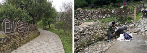 培育式服务的乡村实践与探索——以福建省永泰县大喜村、溪口村、 月洲村为例