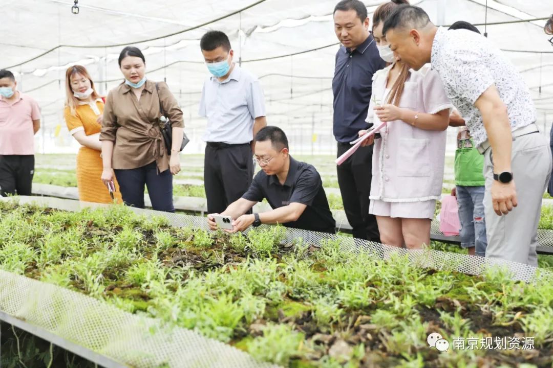 【庆祝第32个全国土地日】守住红线，让土地承载未来