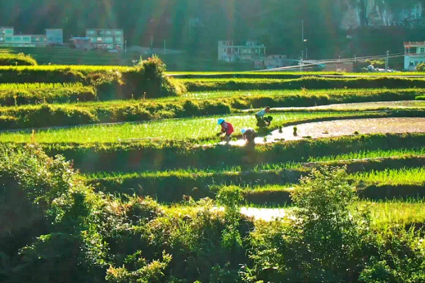 苏州市科学编制实施空间类规划的经验与启示 | 观点 苏州市科学编制实施空间类规划的经验与启示 | 观点