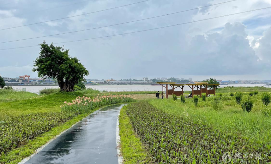广东南海全域土地整治，昔日旧厂房变国家湿地公园