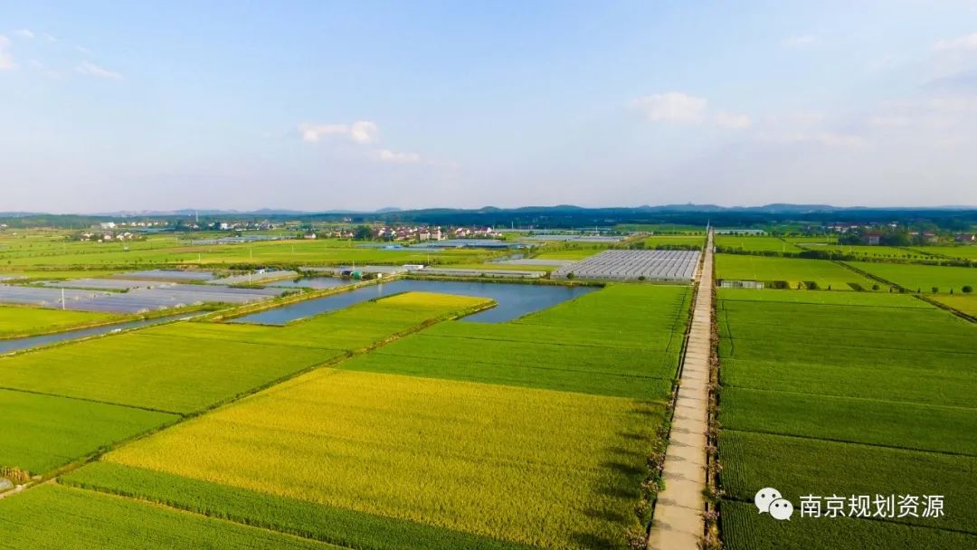 【庆祝第32个全国土地日】守住红线，让土地承载未来