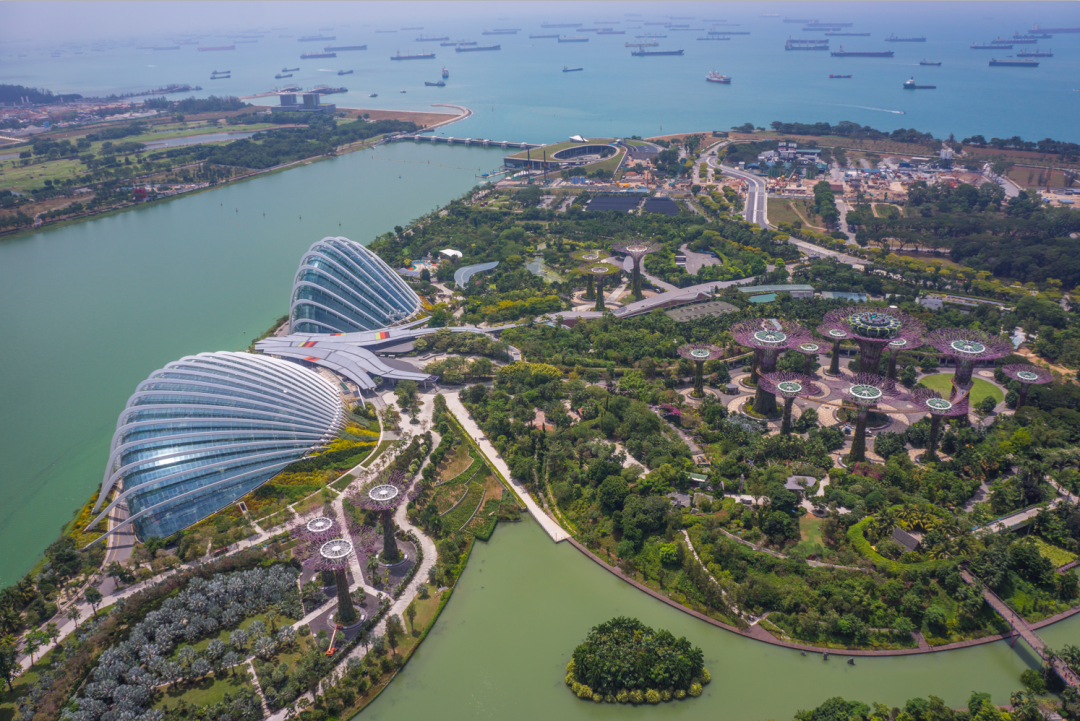 什么是植物园？