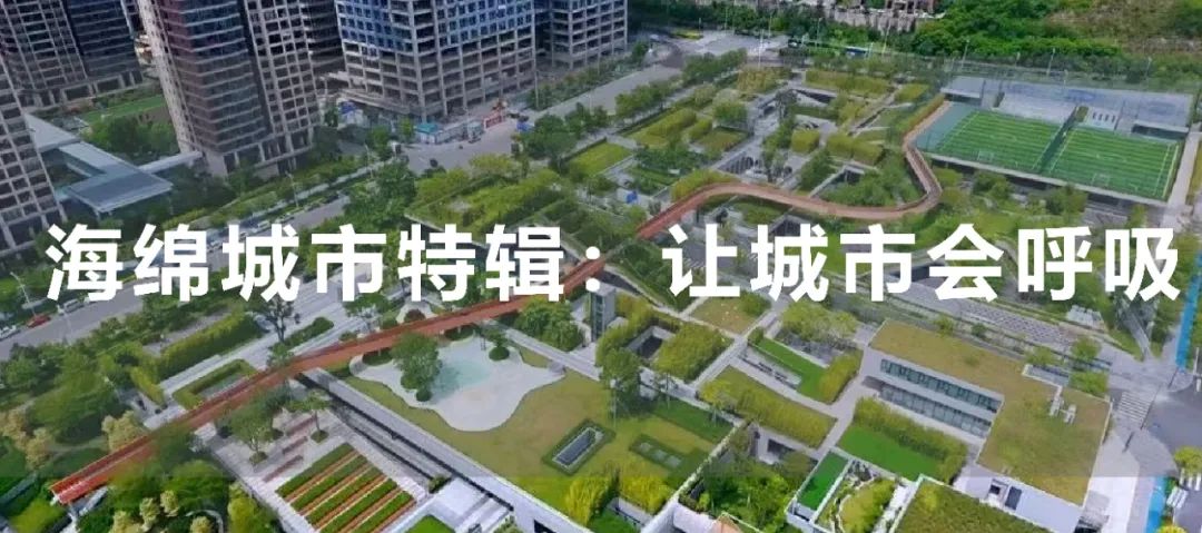 六一快乐｜ 深圳遛娃宝地大盘点