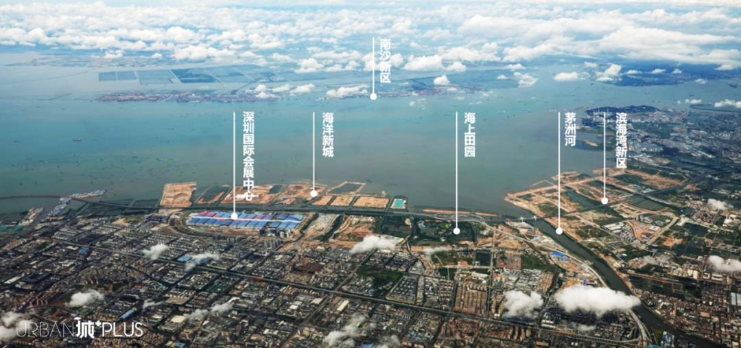 双总师,伴随东莞滨海湾新区发展 双总师,伴随东莞滨海湾新区发展