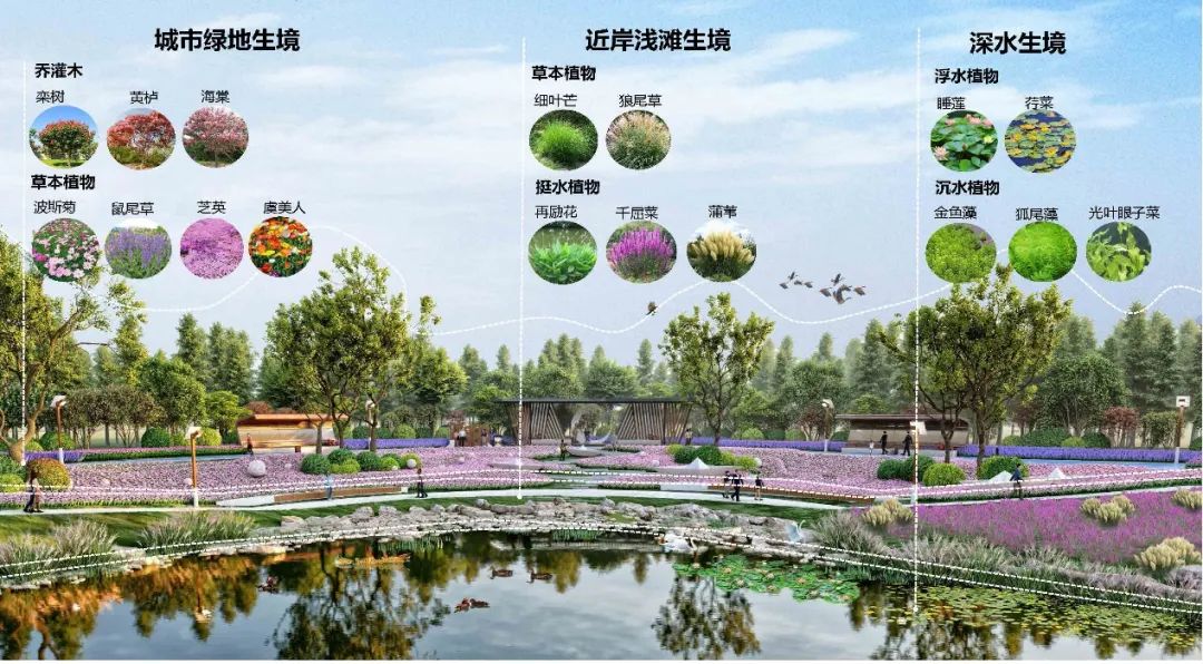 潍坊中央商务区公园景观设计 | 风景园林和旅游规划 潍坊中央商务区公园景观设计 | 风景园林和旅游规划