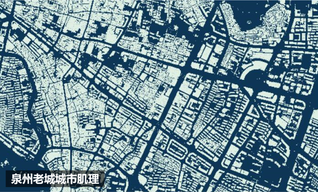 设计即战略：环泉州湾总体城市设计