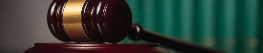 研究起草《国家公园法》等，自然资源部印发2022年立法工作计划
