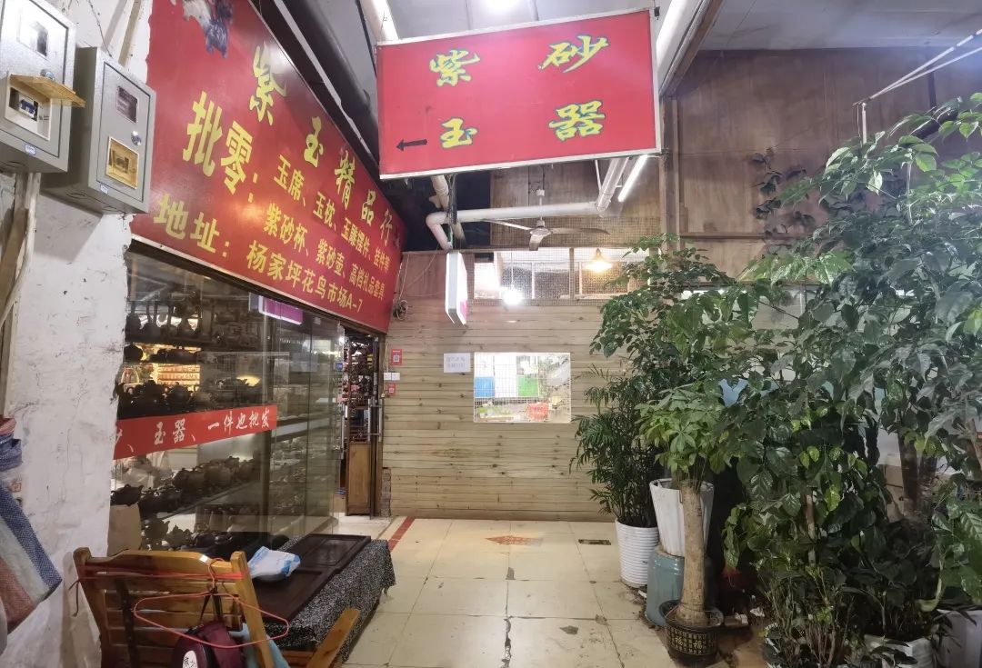 九龙花鸟市场——老商圈的浮沉日记 九龙花鸟市场——老商圈的浮沉日记