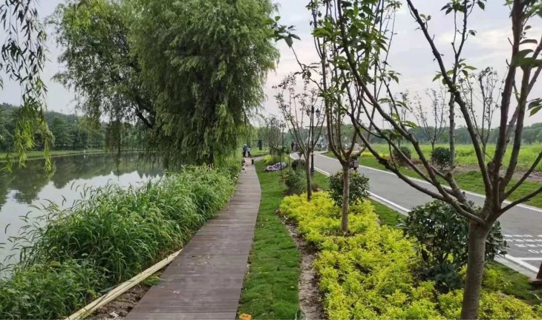 “打破藩篱”沈杨村乡村振兴示范村规划设计实践 “打破藩篱”沈杨村乡村振兴示范村规划设计实践