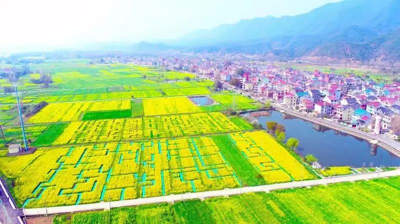 深化宅基地改革 开展“非粮化”整治 唤醒“沉睡资产”︱桐庐县激发强村富民新动能
