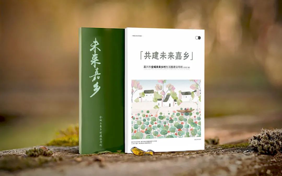 全面建设九个“未来嘉乡”场景，《嘉兴市全域未来乡村生活圈建设导则》发布~