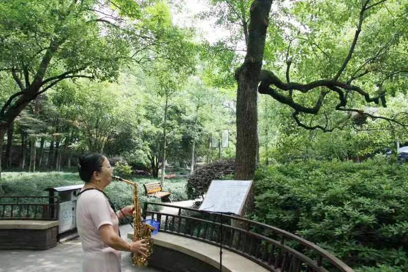 浙江杭州:居家养老“有所依” | 老旧小区改造 浙江杭州:居家养老“有所依” | 老旧小区改造