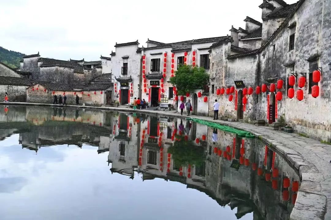 荐书 | 《中国城市状况报告 2020/2021》中英文版