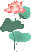 荷花塘,展新颜(上) 荷花塘,展新颜(上)