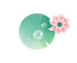 荷花塘，展新颜（上）
