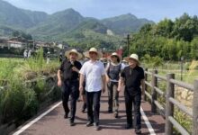 统筹谋划“共富带” 全力以赴抓工程︱市局召开全域土地综合整治系统工作会议-规划问道