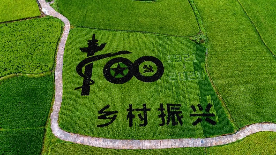 精准滴灌，政策加码！湖南省厅再出13条举措助力“十五县”跨越式发展