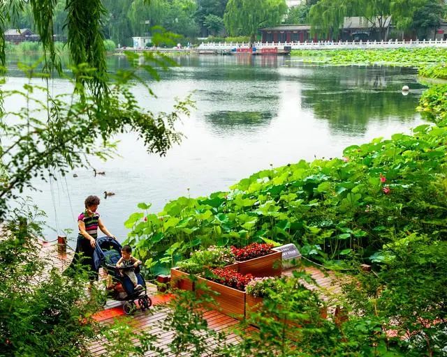 告别大拆大建，老城焕发新生——北京老城正在发生的变迁