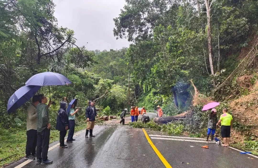 迎战台风“暹芭”,他们在风雨中奔跑 迎战台风“暹芭”,他们在风雨中奔跑